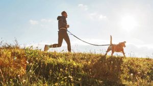 The Ultimate Guide to Keeping Your DogHappy and Healthy